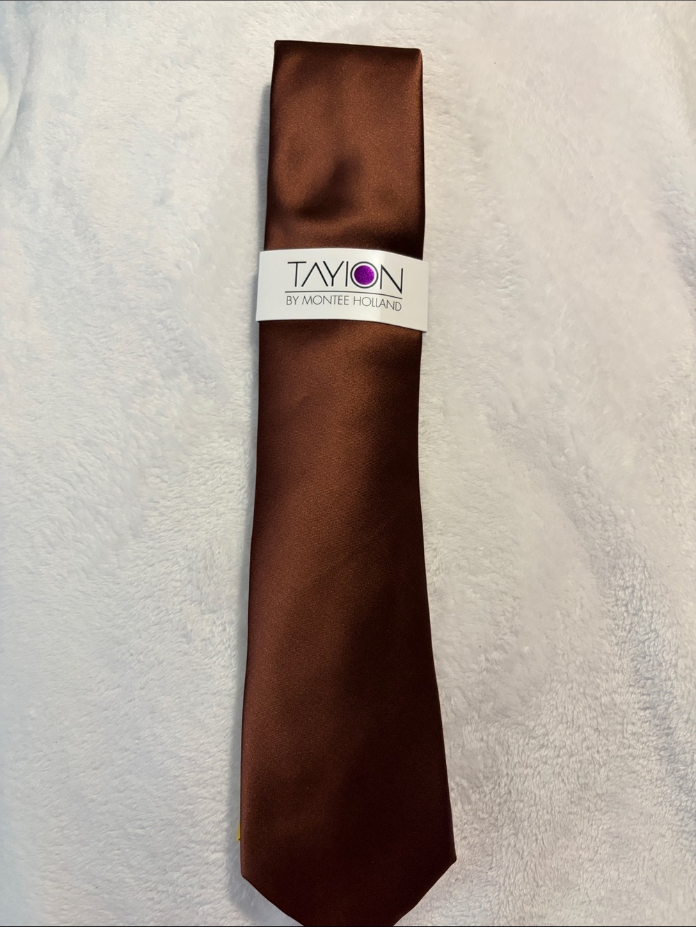 Tayion by Montee Holland Solid Brown Satin Men's Tie